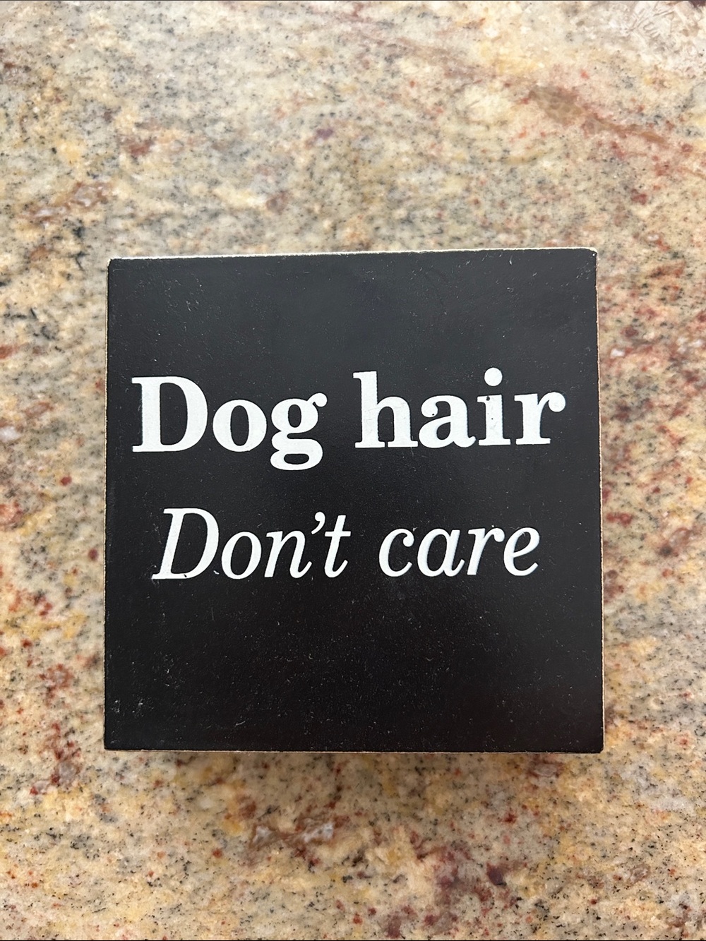 Dog hair Don't care Black Decorative Pet Sign